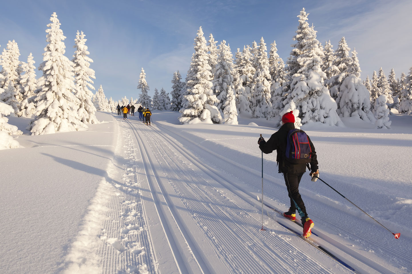 Winter sports cross country skiing in Austria Mallnitz